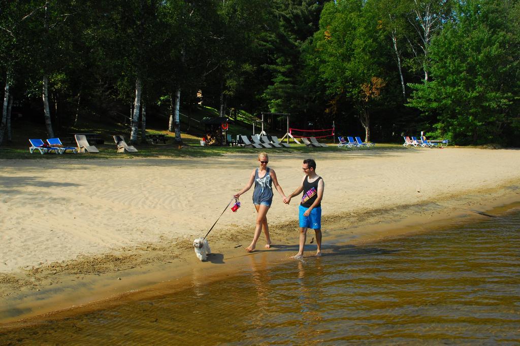The Pines Cottage Resort Oxtongue Lake Esterno foto