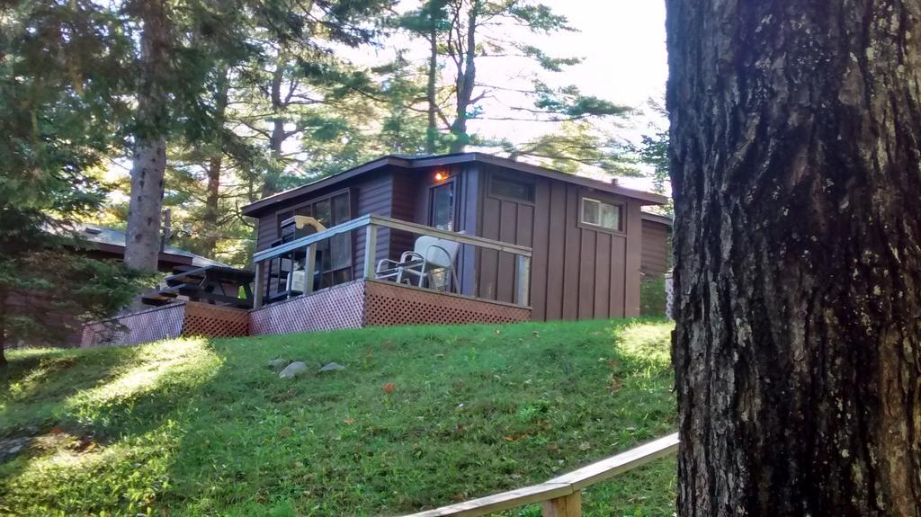 The Pines Cottage Resort Oxtongue Lake Camera foto
